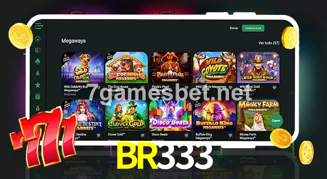 BR333 aplicativo