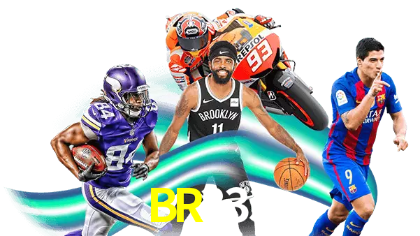 BR333