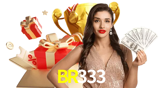 BR333