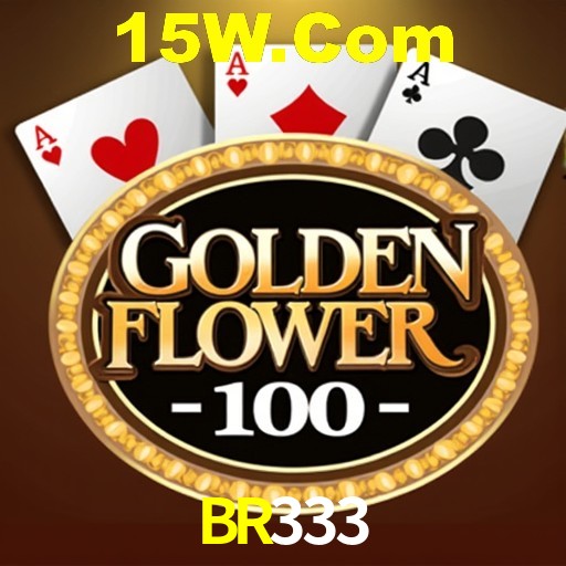 Torneios BR333