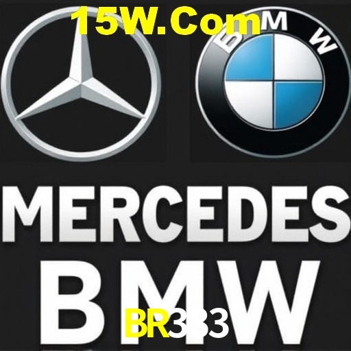 Exclusive Offers BR333