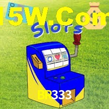 BR333