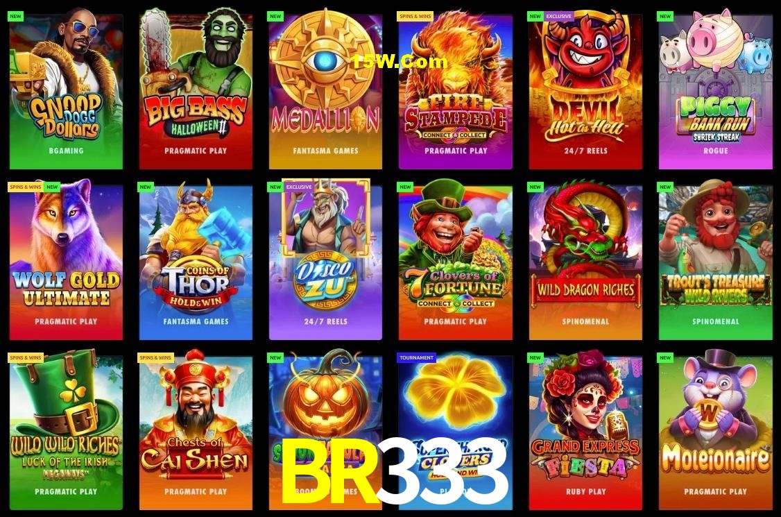 Experiência VIP BR333