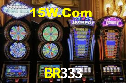 BR333