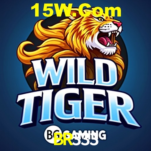 Estatísticas do Jogo BR333