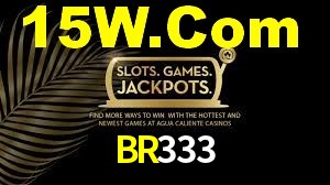 BR333