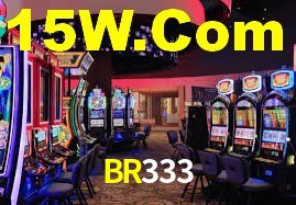 BR333