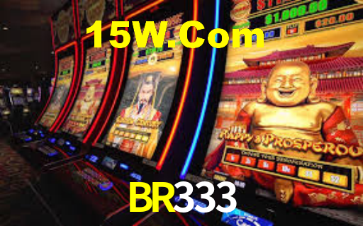 BR333