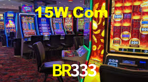 BR333