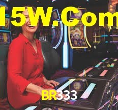 BR333