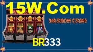 Premium Interface BR333